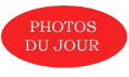 chaque jour de nouvelles photos